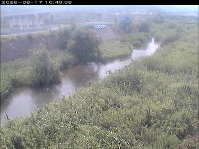 大路川３2026/06/17 12:00:00
