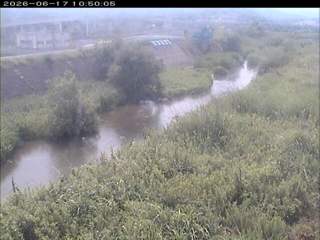 大路川３2026/06/17 12:00:00