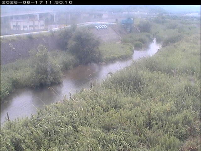 大路川３2026/06/17 12:00:00