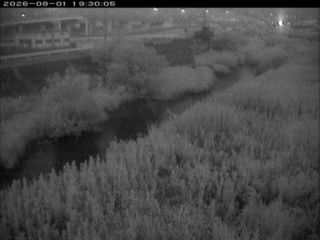 大路川３2026/08/01 20:50:00