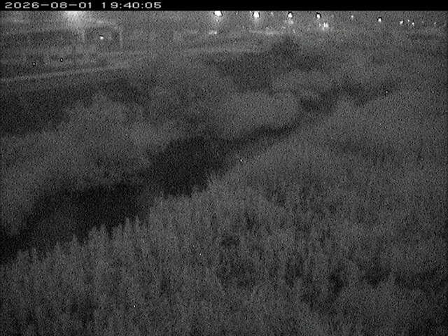 大路川３2026/08/01 20:50:00