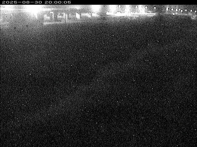 大路川３2025/08/31 11:20:00