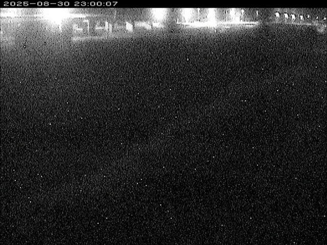 大路川３2025/08/31 11:20:00