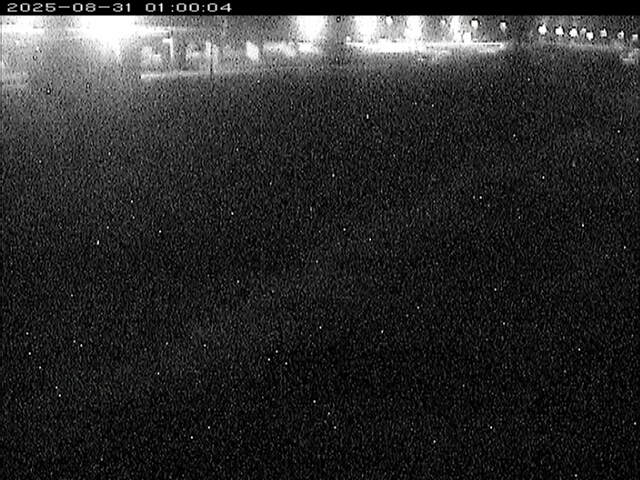 大路川３2025/08/31 11:20:00