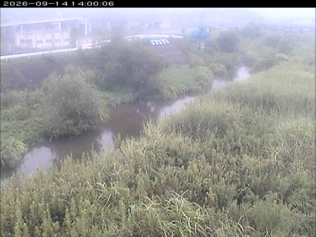 大路川３2026/09/15 14:50:00