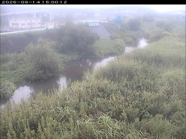 大路川３2026/09/15 14:50:00