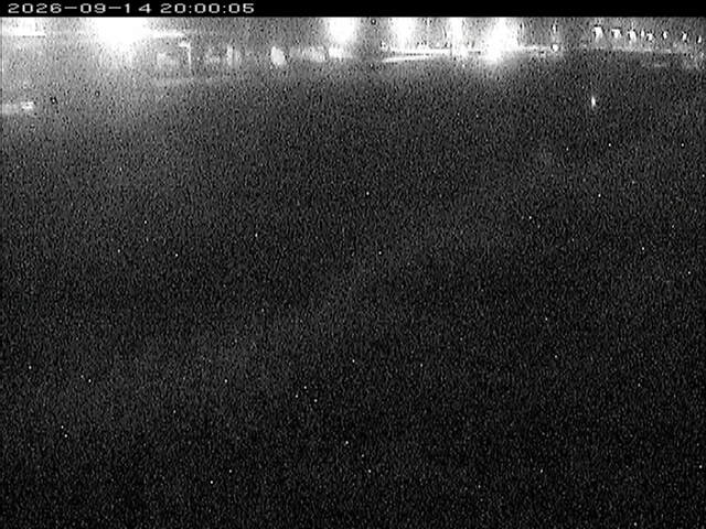 大路川３2026/09/15 14:50:00