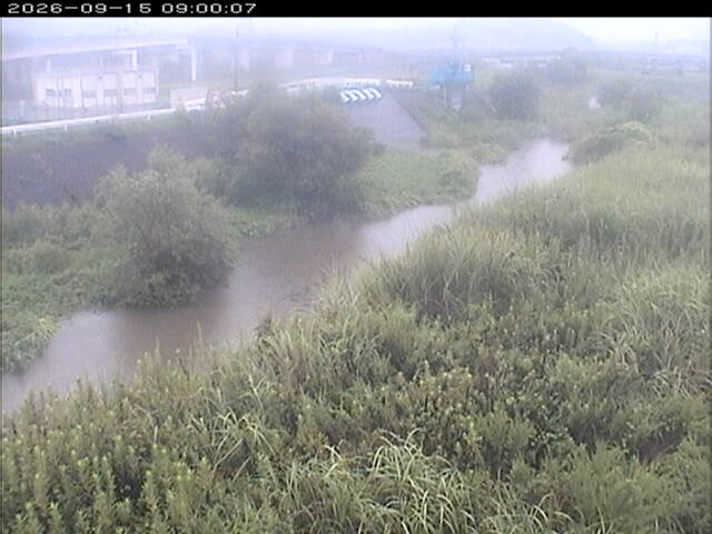 大路川３2026/09/15 14:50:00