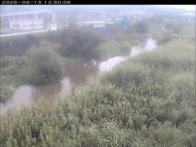 大路川３2026/09/15 14:50:00