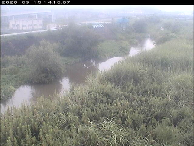 大路川３2026/09/15 14:50:00