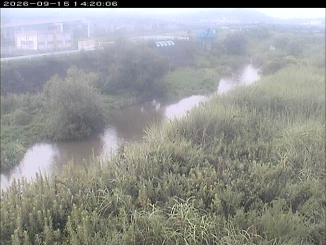 大路川３2026/09/15 14:50:00