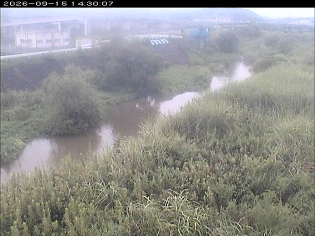 大路川３2026/09/15 14:50:00
