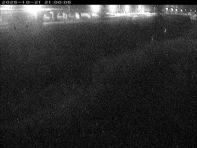 大路川３2025/10/22 11:30:00