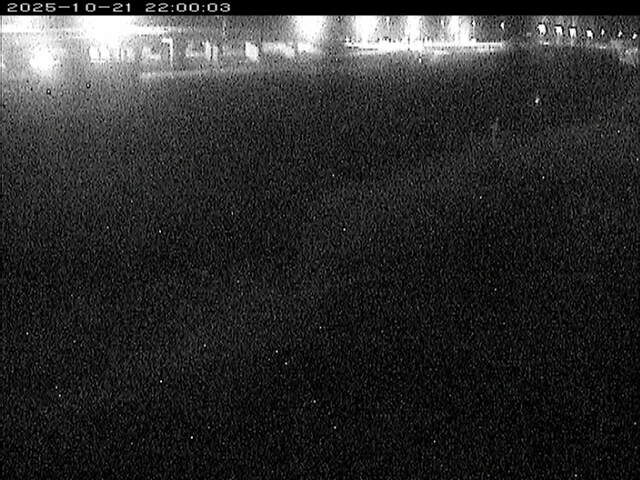 大路川３2025/10/22 11:30:00
