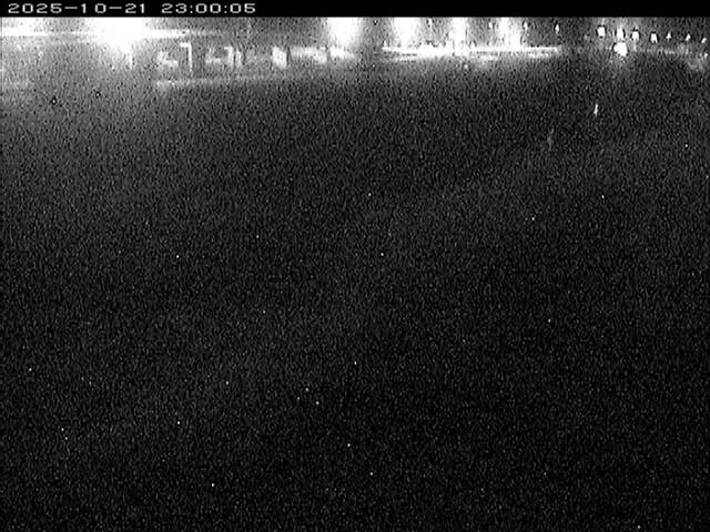 大路川３2025/10/22 11:30:00