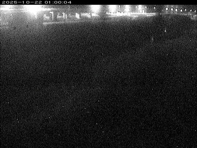 大路川３2025/10/22 11:30:00