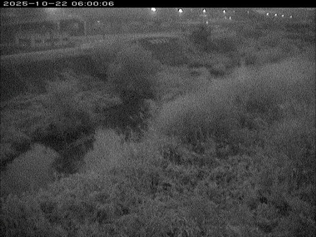 大路川３2025/10/22 11:30:00