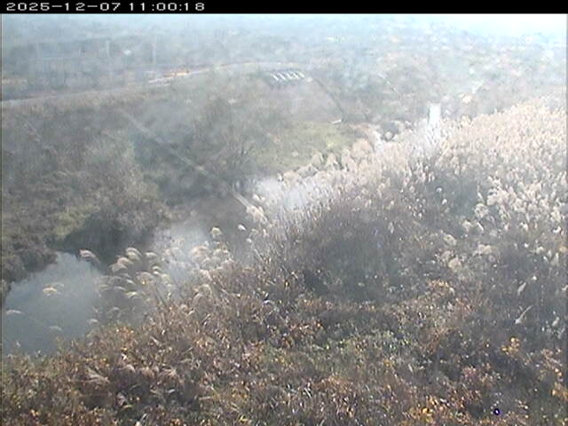 大路川３2025/12/08 11:30:00