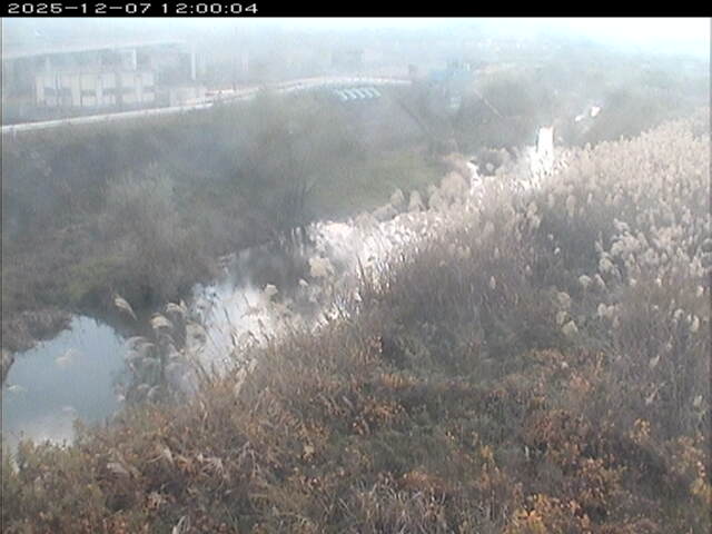 大路川３2025/12/08 11:30:00