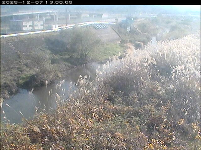 大路川３2025/12/08 11:30:00