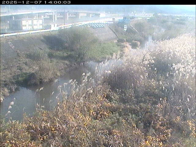 大路川３2025/12/08 11:30:00