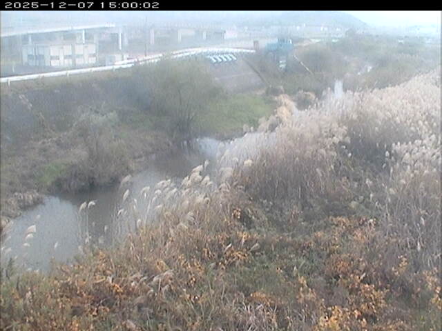 大路川３2025/12/08 11:30:00