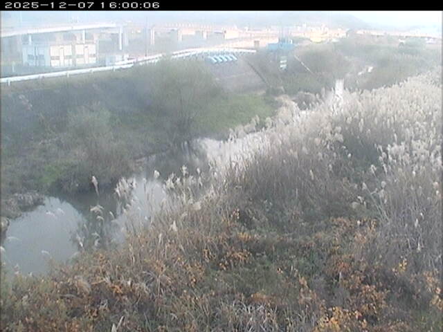 大路川３2025/12/08 11:30:00