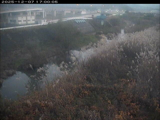 大路川３2025/12/08 11:30:00