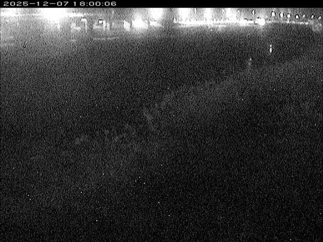 大路川３2025/12/08 11:30:00