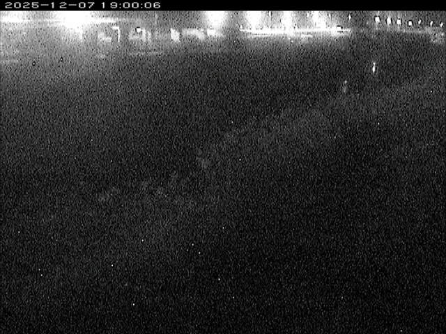 大路川３2025/12/08 11:30:00