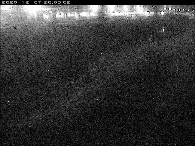 大路川３2025/12/08 11:30:00