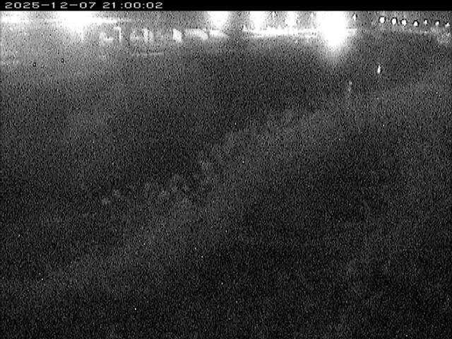 大路川３2025/12/08 11:30:00