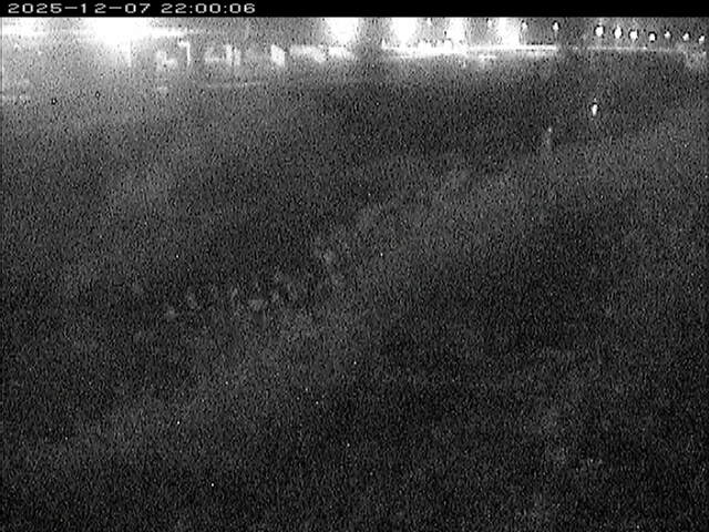 大路川３2025/12/08 11:30:00