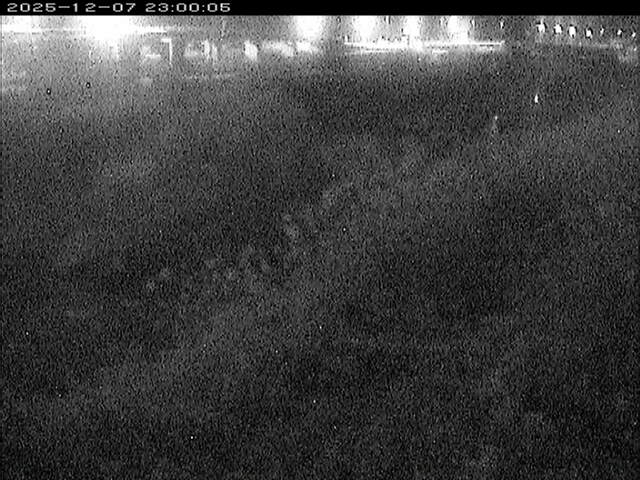 大路川３2025/12/08 11:30:00