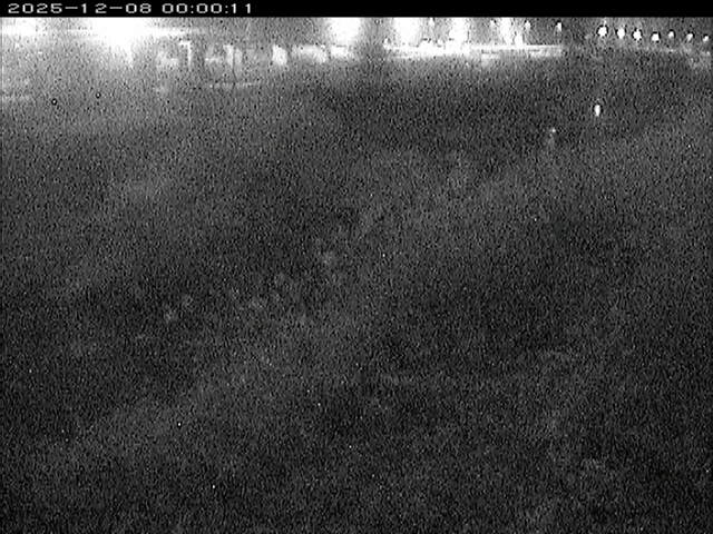 大路川３2025/12/08 11:30:00