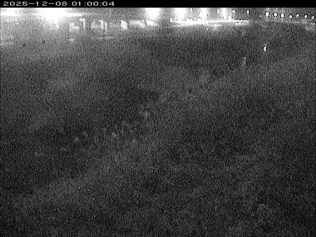 大路川３2025/12/08 11:30:00