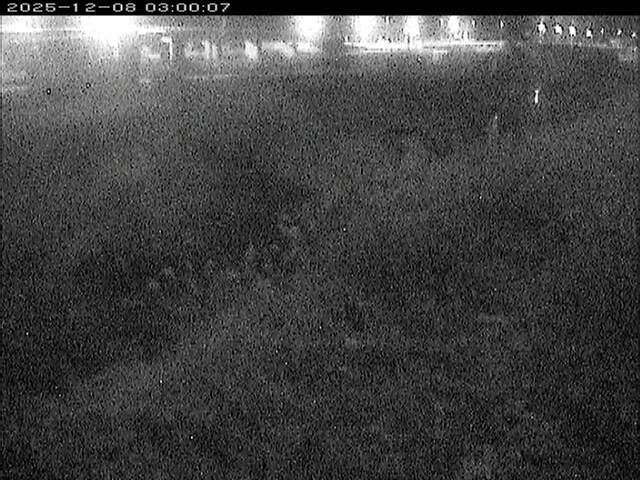 大路川３2025/12/08 11:30:00