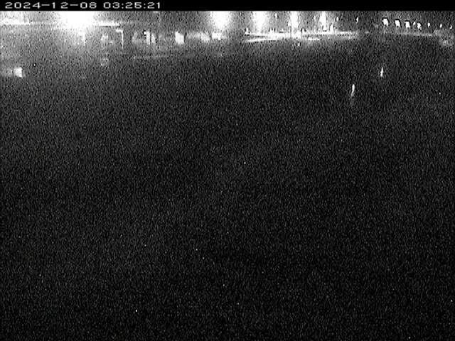 大路川３2025/12/08 11:30:00