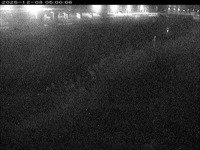 大路川３2025/12/08 11:30:00