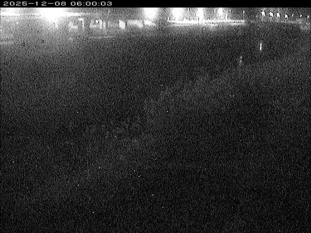 大路川３2025/12/08 11:30:00