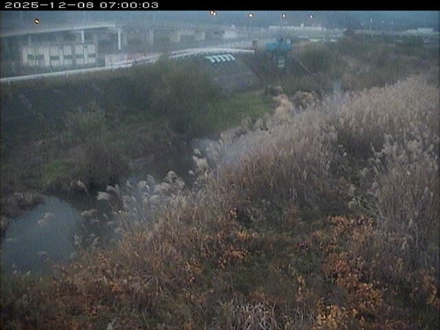 大路川３2025/12/08 11:30:00