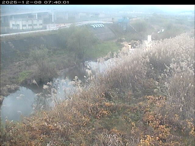 大路川３2025/12/08 11:30:00