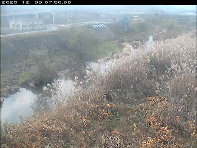 大路川３2025/12/08 11:30:00