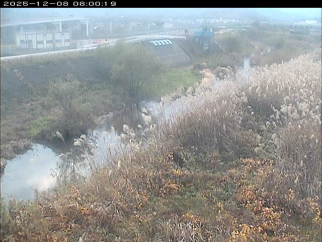 大路川３2025/12/08 11:30:00