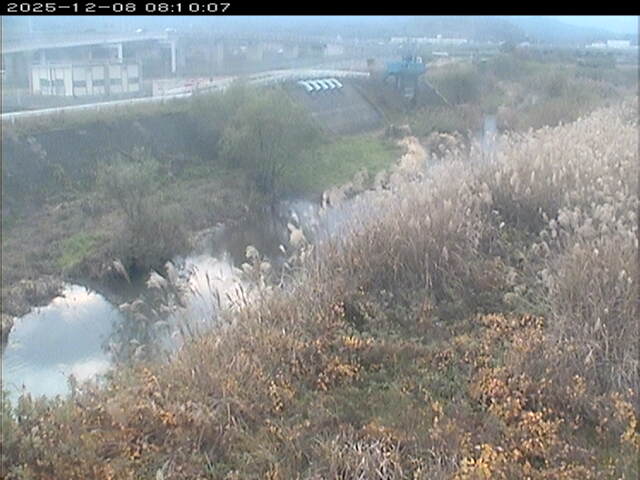 大路川３2025/12/08 11:30:00