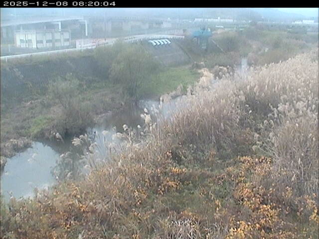 大路川３2025/12/08 11:30:00