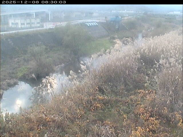 大路川３2025/12/08 11:30:00