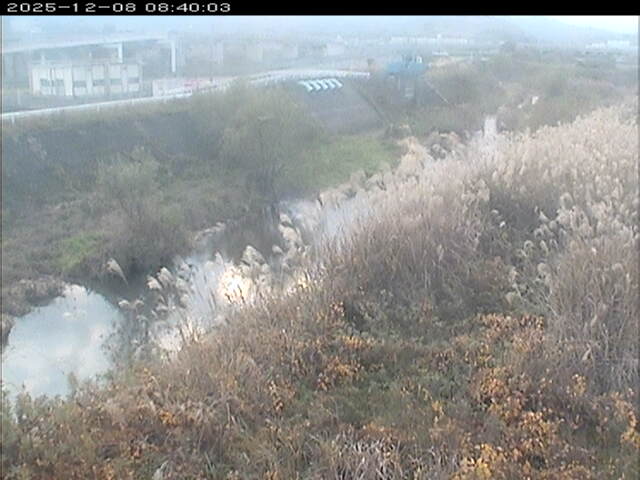 大路川３2025/12/08 11:30:00