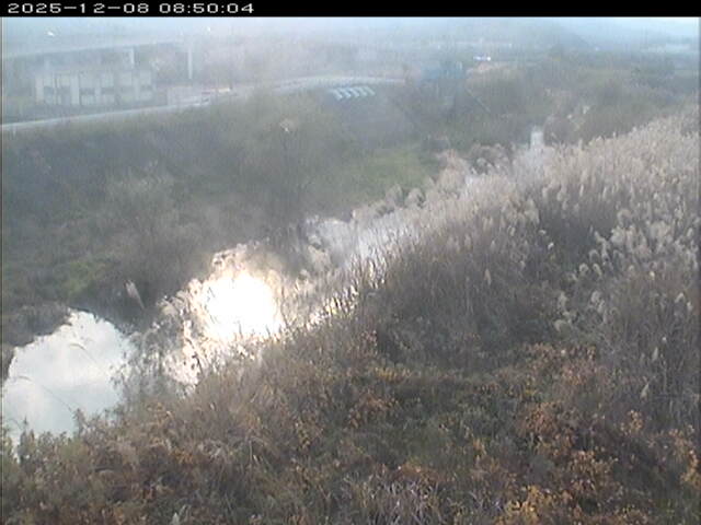 大路川３2025/12/08 11:30:00