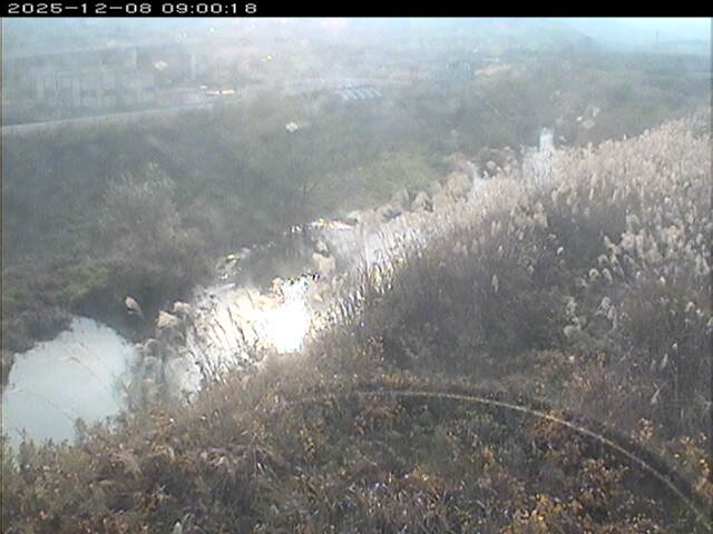 大路川３2025/12/08 11:30:00